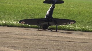 Funny RC Warbird Landings some Perfect and some not so Perfect [upl. by Rider]