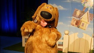 Interactive TALKING Dug from “Up” Roaming Meet amp Greet at Pixar Fest 2024  Disneyland Resort [upl. by Thirion544]