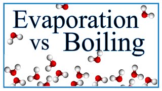 Boiling vs Evaporation Definition Examples amp Explanation [upl. by Bellda]