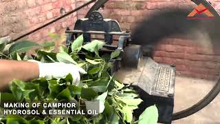 Making of Camphor hydrosol and essential oil At Aadhunik Ayurveda [upl. by Lahtnero]