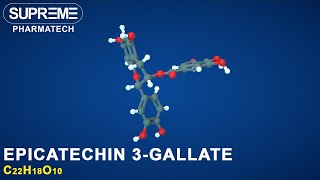 Epicatechin 3gallate  C22H18O10  3D molecule [upl. by Sielen]