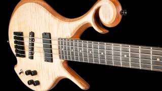 5 String Bass  TwoHand Tapping with Delay  Xylem Basses [upl. by Mellicent]