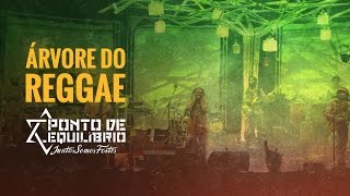 Ponto de Equilíbrio  Árvore do Reggae DVD Juntos Somos Fortes [upl. by Ase983]