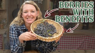 They Bought An Elderberry Business How Elderberries can help you Thrive [upl. by Susy]