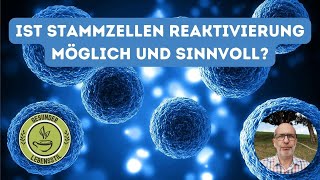 Ist Stammzellen Reaktivierung möglich und sinnvoll [upl. by Snehpets330]