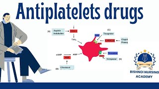 Antiplatelets drugs in pharmacology [upl. by Anemolihp]