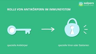 Antigene und Antikörper Experte erklärt [upl. by Novello]