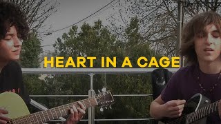 Heart In A Cage  Acoustic cover and singing [upl. by Tremain]