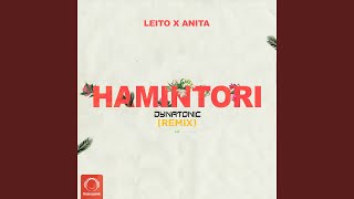 Hamintori Dynatonic Remix [upl. by Saunders]