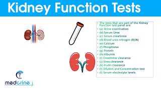 Kidney Function Tests and Interpretation of Results [upl. by Raquela]