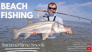 Snook Fishing Sanibel Island Beaches  Plus RARE Sawfish and Raided Sea Turtle Nest [upl. by Sheffy768]