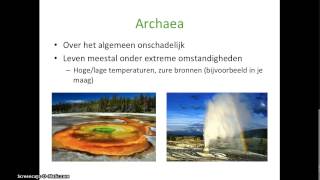 Basisstof 2  De domeinen bacteriën en archaea Thema 4  Ordening [upl. by Karleen]