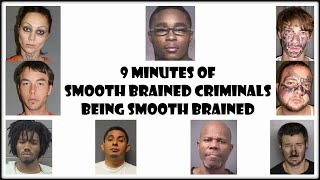 9 Minutes of Smooth Brained Criminals Smooth Braining [upl. by Rodina275]