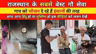 गौशाला के अंदर गायों को कैसी सुविधा 😱 gayon ka bhojan  gay ka 55 Tan dudh [upl. by Penn]