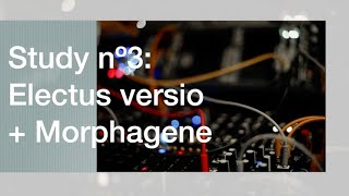 Study nº3  Electus Versio  Morphagene ambient jamuary2022 [upl. by Eylk582]