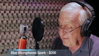 Blue Microphones Spark Vs Neumann U87 AI  Blind Test Results [upl. by Ikkir]