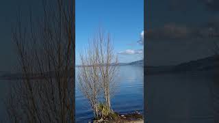 rotorua lake from hamurana viewcamping spotnew trendingshorts [upl. by Danaher]