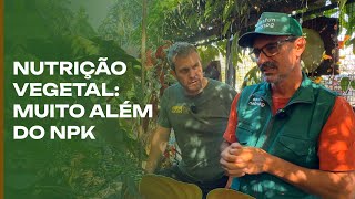 Nutrição vegetal e suas plantas tenha um cultivo exemplar [upl. by Rosol]