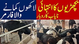 30 BACHRIAN Rakh Ke Lakhon Kamane Wala FARMER  Profitable HEIFER FARMER Business In Pakistan [upl. by Odnala379]