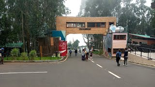 እንጦጦ ፓርክ አዲስ አበባ ኢትዮጵያ 🇪🇹 201624 Entoto Park Addis Abab Ethiopia ሸራተን Sheraton piass 4ኪሎ Finfin ebs [upl. by Baylor]