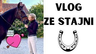 🌟 DZIEŃ W STAJNI 🐎 KONIE 🐴 PASJA 🍀 MIŁOŚĆ 💖 [upl. by Geaghan]