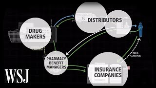 How Drug Prices Work  WSJ [upl. by Esinaj57]