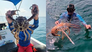 Pescando GRANDES PECES y captura de CANGREJO Y LANGOSTAS GIGANTES [upl. by Mccourt]