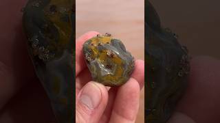 Lovely limonite stained agate found on beach shorts agate rockhounding geology [upl. by Oremar388]