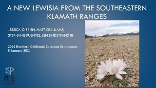 A new Lewisia from the southeastern Klamath Ranges by Jessica OBrien [upl. by Westhead]