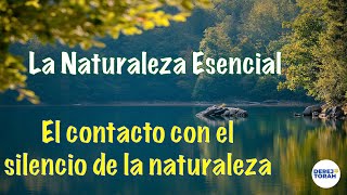 La naturaleza esencial‼️Contacto con el silencio de la naturaleza‼️ [upl. by Leahcimal]