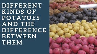 Different kinds of potatoes and the difference between them [upl. by Pascia]