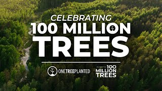 How We Planted 100 Million Trees  One Tree Planted [upl. by Ailedamla188]