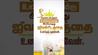 Tamil Christian song WhatsApp status youtubeshorts shortsfeed shorts jesussongstamil jesus [upl. by Blanche]