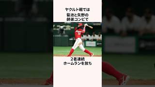 「エリア９４」菊池涼介と矢野雅哉に関する雑学野球日本の野球選手広島東洋カープ [upl. by Giordano]