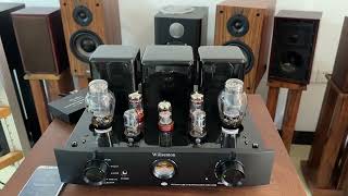 Willsenton R300 PLUS tube amplifierPAIYON P420 speaker [upl. by Aicnarf]