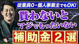 【まだ間に合う】2023年版従業員0・個人事業主でも狙える補助金2選中小企業診断士が解説実際に採択された計画書も配布！ [upl. by Leone]