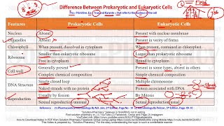 Microbiology 08 Difference Between Prokaryotic and Eukaryotic Cell  Prokaryotes amp Eukaryotes [upl. by Alegnasor]