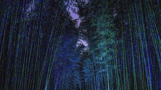 God the MHFZ Bamboo Forest Night theme goes so hard [upl. by Amehsat]