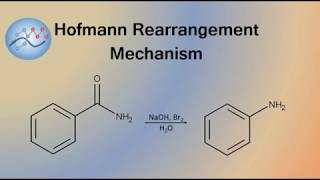 Hofmann Rearrangement Example Mechanism  Organic Chemistry [upl. by Devon]