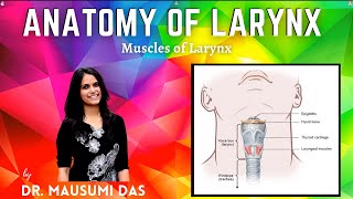 Muscles of Larynx  Origin Insertion Nerve supply Action [upl. by Rianna689]