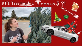 Will An 8FT Christmas Tree Fit In My TESLA Model 3 Watch Until The End [upl. by Enia859]