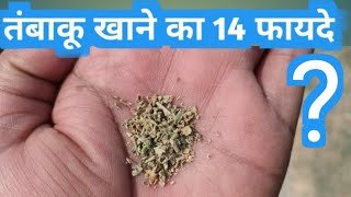 How does tobacco harm our body  Tambaku Gutka khaini khane ke 14 fayde  तम्बाकू गुटखा खैनी जर्दा [upl. by Rachael]