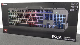 Trust GXT 853 Esca €2499 Budget Gaming Keyboard [upl. by Aciretnahs]