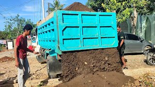 Truk Jomplang Dump Truk Pengangkut Pasir Bongkar Muatan FULL BAK Menggunung [upl. by Barbur]