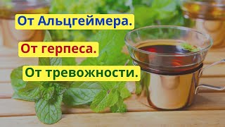 Помогает от болезни Альцгеймера от вируса герпеса от тревожности и бессонницы Мелисса [upl. by Hunfredo]