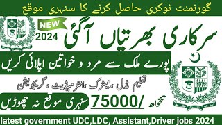 Latest Government Jobs 2024  New Jobs 2024 in Pakistan Today Govt Vacancies  New Jobs in Pakistan [upl. by Capon]