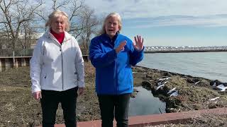 Lake St Clair Lyngbya algae muck study in Macomb County [upl. by Nida866]