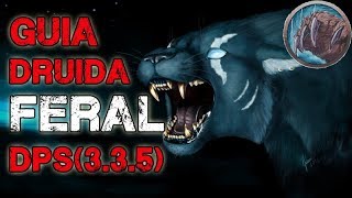 WOW Guia DRUIDA Feral DPS PVE 335 [upl. by Dnalyag]