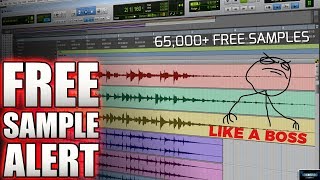 FREE SAMPLE ALERT  65000 FREE SAMPLES SAMPLERADAR🎵🔥 [upl. by Iznek]