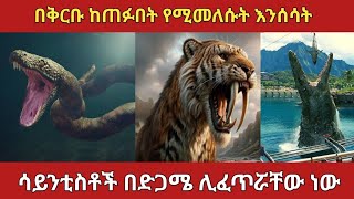 በምርምር ከጠፉበት በቅርቡ የሚመለሱት አስፈሪ እንስሳት  amazing animals ethiopia [upl. by Attela]